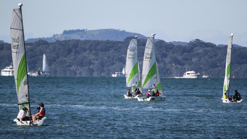 RS Quest - Cheltenham Beach- first adventure cruise in NZ - May 4, 2025 - photo © Richard Gladwell/Sail-World.com/nz