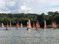 Largest ever turnout for RS Tera open meeting at Frensham Pond  © Simon Lomas-Clarke