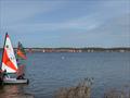 Rooster RS Tera Start of Season Championships at Grafham Water © Justin Trolinger