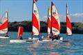 IW Youth and Junior Dinghy Championships Series finale at Brading Haven &copy; Richard Douglas