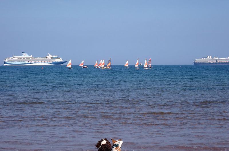 RS Tera training at Paignton photo copyright Andrew Paley taken at Paignton Sailing Club and featuring the RS Tera class