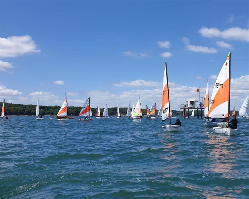 IW Youth Dinghy Championships Event 1 photo copyright Steve Sheridan taken at Royal Victoria Yacht Club, England and featuring the RS Tera class