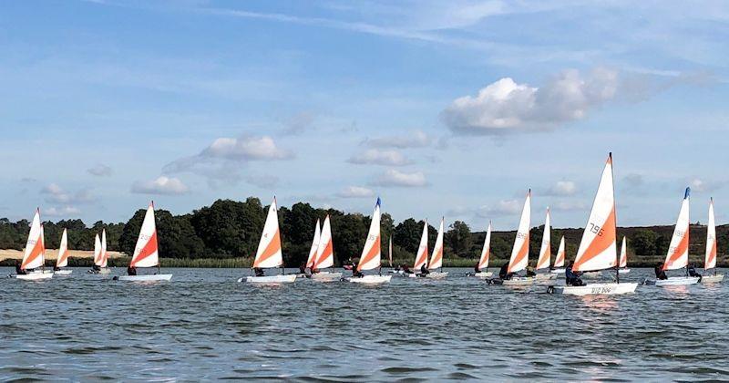 Largest ever turnout for RS Tera open meeting at Frensham Pond  - photo © Simon Lomas-Clarke