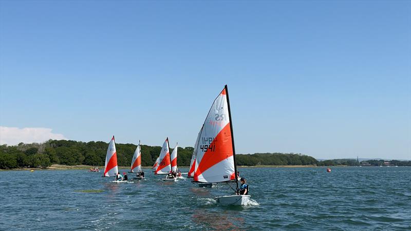 RS Teras join Itchenor's Junior Fleets photo copyright Jake Elsbury taken at Itchenor Sailing Club and featuring the RS Tera class