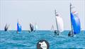 Noble Marine RS Vareo Nationals at Paignton &copy; Tom Wildy Photos