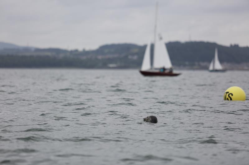 Magenta Project - photo © RYA Cymru-Wales