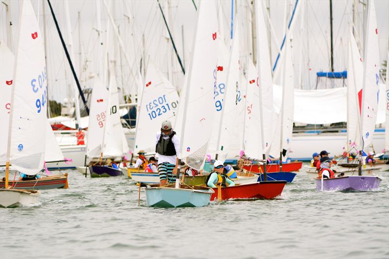 49th annual Dutch Shoe Marathon at San Diego Yacht Club photo copyright SDYC taken at San Diego Yacht Club and featuring the Sabot class