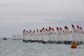 Victorian Sabres at Sail Mordi Regatta © Russell Bates Photography