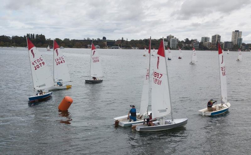 2020 Sabre WA State Championships photo copyright Sails on Swan / John Chapman taken at Perth Dinghy Sailing Club and featuring the Sabre class