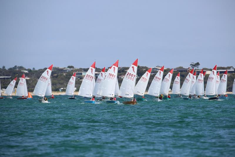 The Sabre has a highly-recognisable sail with the red tip photo copyright Russel Bates taken at  and featuring the Sabre class