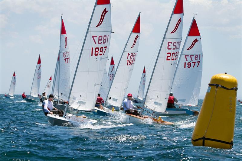 The recent Victorian Sabre States saw a fleet of 69 boats photo copyright Alex McKinnon taken at  and featuring the Sabre class