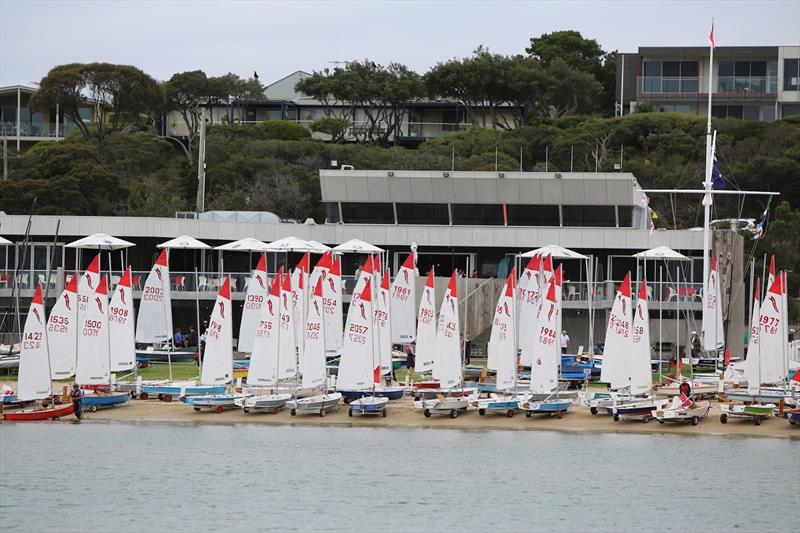 Sabres lined up on the beach at Blairgowrie Yacht Squadron - photo © Harry Fisher