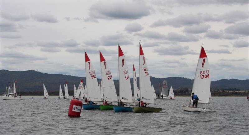 The Sabre fleet lines up for a start photo copyright Greg and Michelle Jones taken at Port Dalrymple Yacht Club and featuring the Sabre class