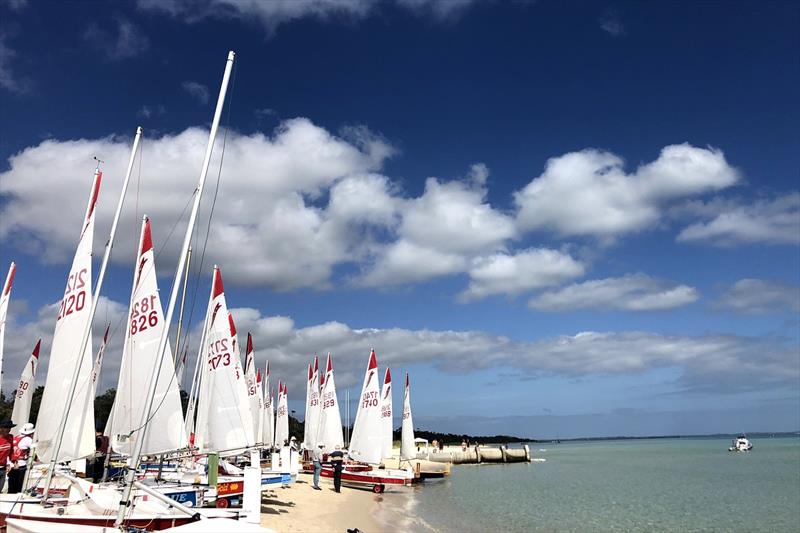 Boats on the beach - 2021 46th Victorian Sabre State Championships photo copyright Luis Mata taken at McCrae Yacht Club and featuring the Sabre class