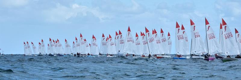 Pre start during the 2025 Victorian Sabre Championships photo copyright Stephen Cowell taken at Mount Martha Yacht Club and featuring the Sabre class