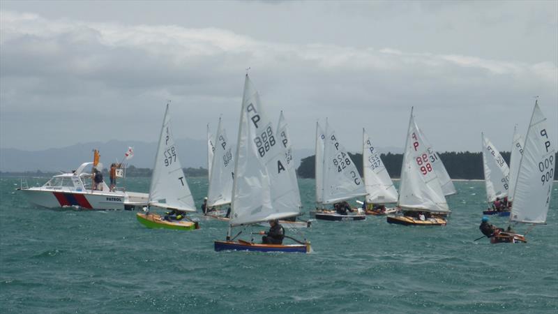 Day 1 - P class - Tauranga Cup - Tauranga Yacht and Power Boat Club - January 2019 - photo © Tauranga Yacht and Power Boat Club