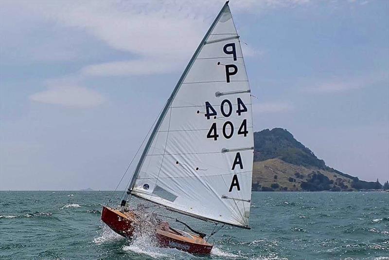 Tim Howse - P class - Tanner Cup - Tauranga Yacht and Power Boat Club - January 2019 - photo © Tauranga Yacht and Power Boat Club