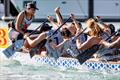 Dragon boat racing at the 2026 Auckland Anniversary Regatta &copy; Auckland Anniversary Regatta