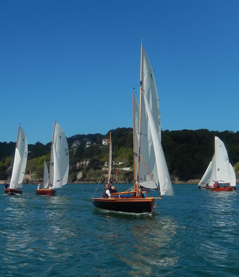 Salcombe Yawls on the Early May Bank Holiday weekend photo copyright Malcolm Mackley taken at Salcombe Yacht Club and featuring the Salcombe Yawl class