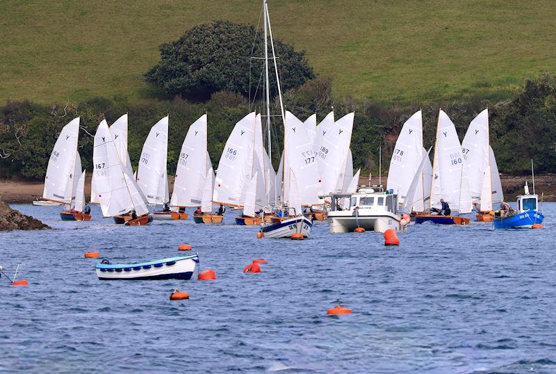 Hassall Law Salcombe Yawl Open - photo © Lucy Burn