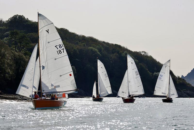 Salcombe Yacht Club Autumn Series Race 6 photo copyright Lucy Burn taken at Salcombe Yacht Club and featuring the Salcombe Yawl class