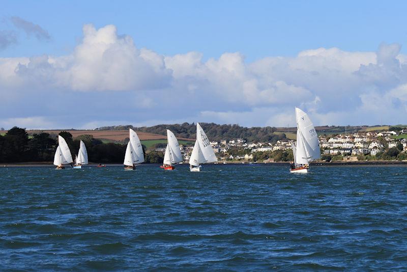 Salcombe Yacht Club Autumn Series Race 7 photo copyright Lucy Burn taken at Salcombe Yacht Club and featuring the Salcombe Yawl class