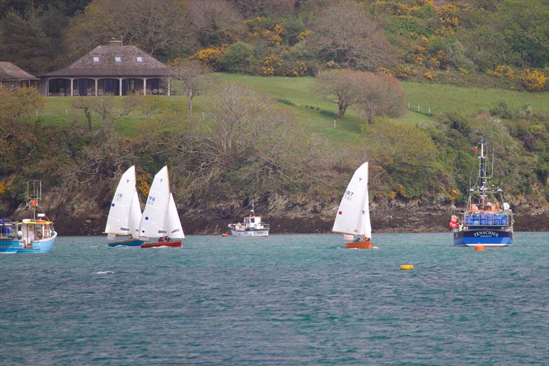 Salcombe YC Sailing Club Series Race 1 photo copyright Lucy Burn taken at Salcombe Yacht Club and featuring the Salcombe Yawl class