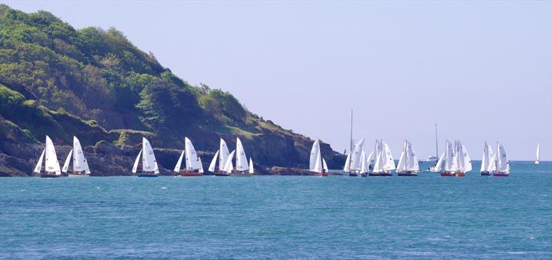 Bartons Salcombe Yawl Open -  Red Fleet photo copyright Lucy Burn taken at Salcombe Yacht Club and featuring the Salcombe Yawl class