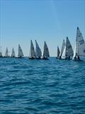 Saturday Race 1 Start in the Sidmouth Scorpion Open &copy; Sidmouth SC