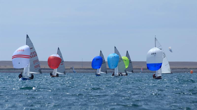 131 boats race in Weymouth Dinghy Regatta 2014 photo copyright Richard White taken at Weymouth Sailing Club and featuring the Scorpion class