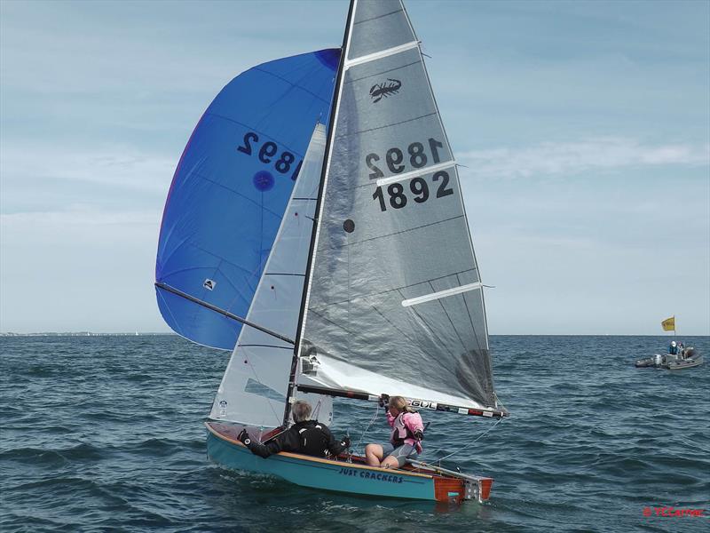 SMELT 2017 photo copyright YCCarnac taken at Yacht Club de Carnac and featuring the Scorpion class