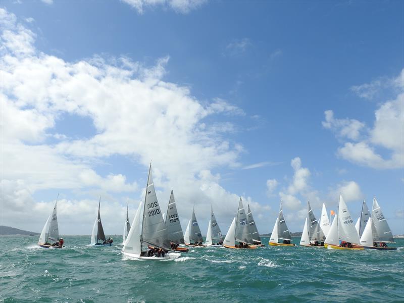 Gul Scorpion Nationals at Castle Cove photo copyright Amy Forbes taken at Castle Cove Sailing Club and featuring the Scorpion class