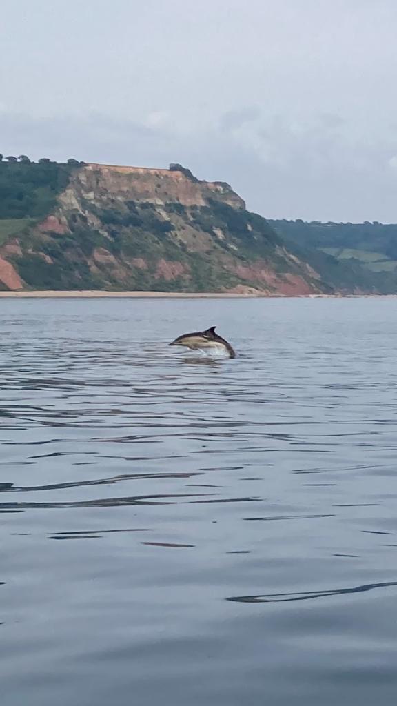 A pod of dolphins watch the Scorpion Open at Sidmouth Sailing Club photo copyright Richard Gatehouse taken at Sidmouth Sailing Club and featuring the Scorpion class