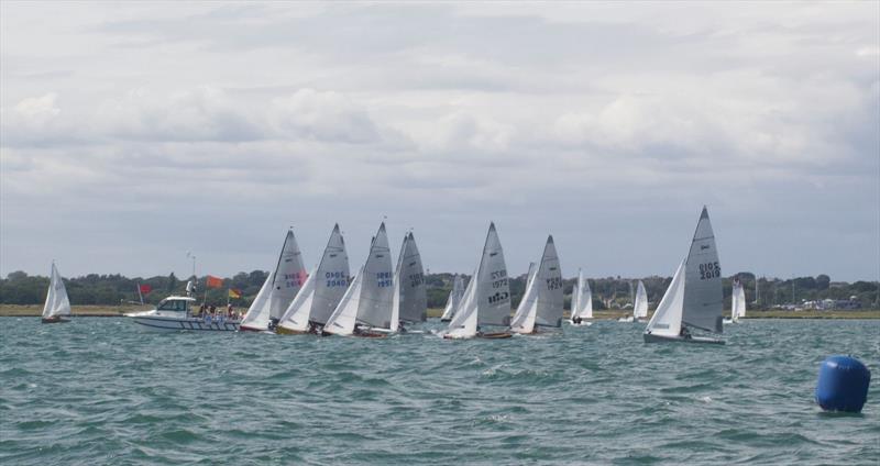 CraftInsure Silver Scorpions at Lymington photo copyright Nick Lightbody taken at Lymington Town Sailing Club and featuring the Scorpion class