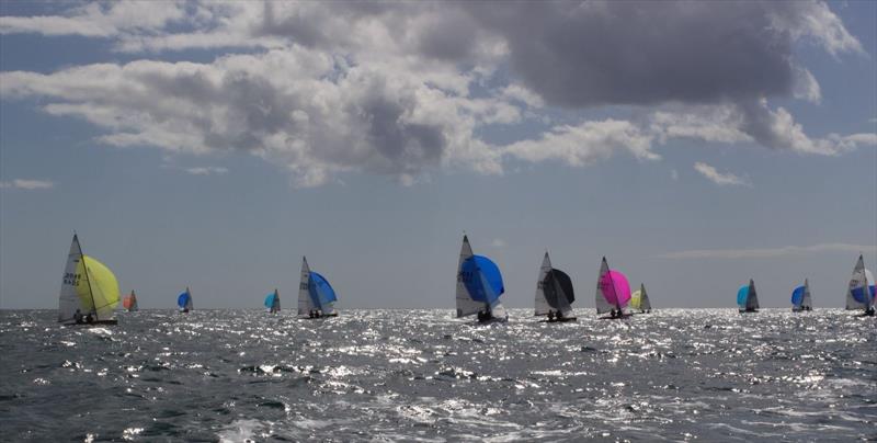 Scorpion National Championship at Looe Day 3 - photo © Nick Lightbody