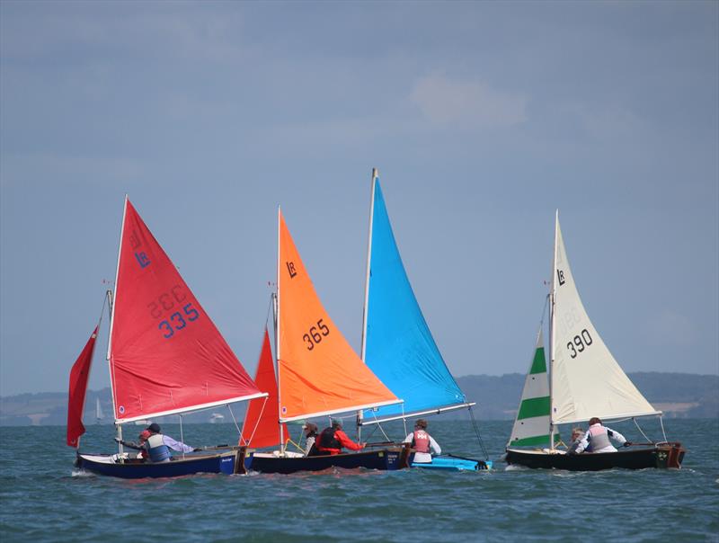 Keyhaven Week 2019 - photo © Richard Dawson / Alison Boxall / Tom Compton
