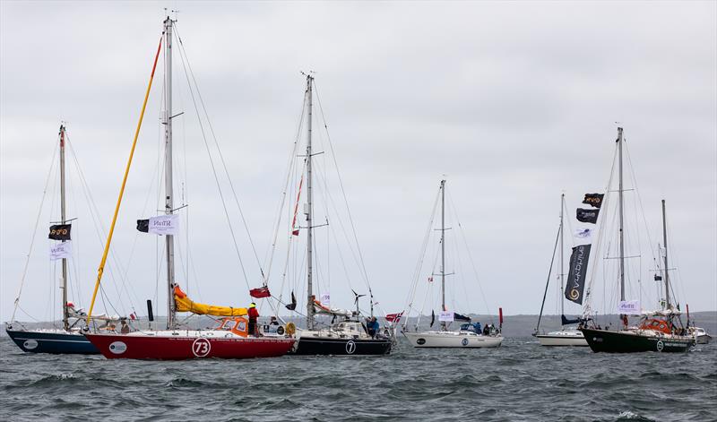 Falmouth Parade of Sail - photo © Dave Hart