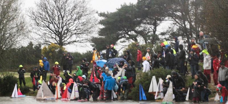 2019 Setley Cup and Seahorse Trophy photo copyright Roy Froud taken at  and featuring the Setley Cup class