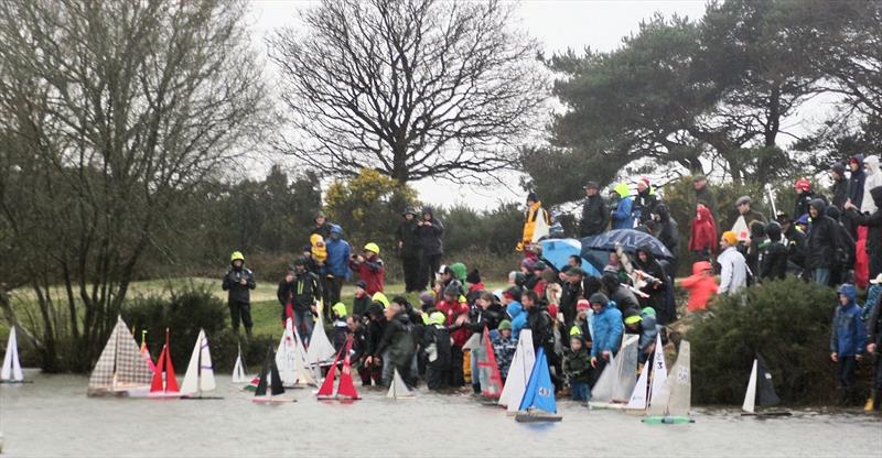 2019 Setley Cup and Seahorse Trophy photo copyright Roy Froud taken at  and featuring the Setley Cup class