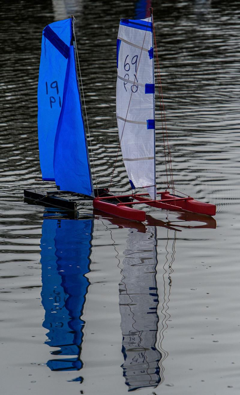 Black Widow pushes Danger Cat during the 2021 Setley Cup on Boxing Day photo copyright Paul French / www.coolhat.co.uk taken at  and featuring the Setley Cup class