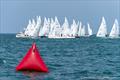 56th Shark World Championship at Niagara-on-the-Lake © Jim Schacht