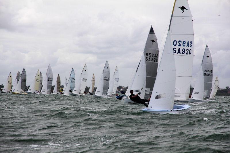 Australian Sharpie Championships day three photo copyright Chris Murray taken at Royal Queensland Yacht Squadron and featuring the Sharpie class