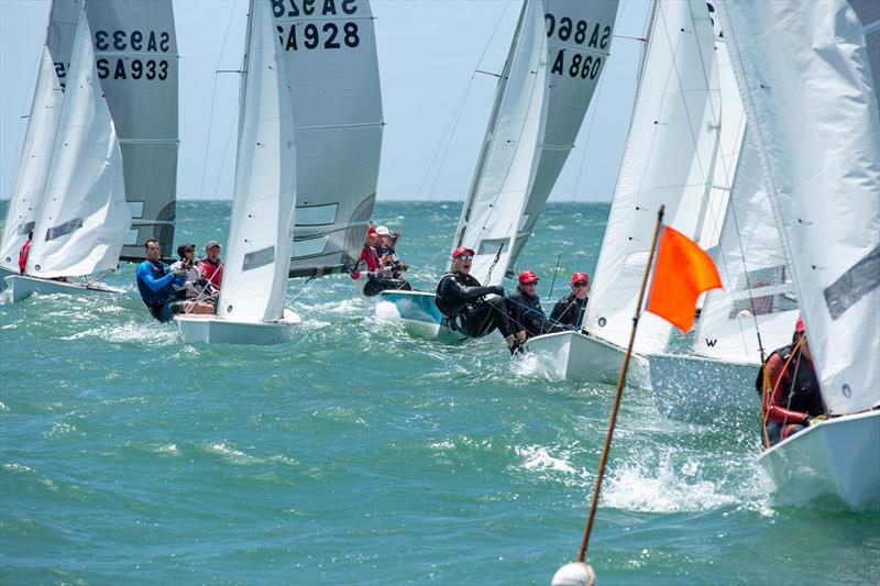 The Sharpie class boasts a strong fleet on the Adelaide coast - Harken SA Summer of Sail Festival photo copyright Elise Dalmaso taken at Largs Bay Sailing Club and featuring the Sharpie class