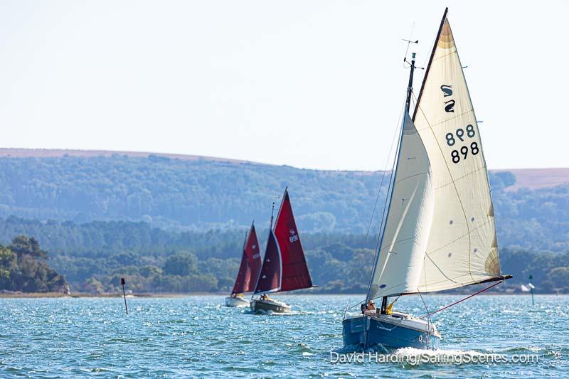 Poole Week 2025 Day 2 photo copyright David Harding / www.sailingscenes.com taken at Parkstone Yacht Club and featuring the Shrimper class