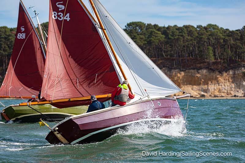 Poole Week 2025 Day 3 photo copyright David Harding / www.sailingscenes.com taken at Parkstone Yacht Club and featuring the Shrimper class