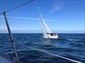 Laurie Clark at the helm of his Sigma 33 in the Friendship Race © Ian Banton / Ray Ker