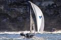 © SailMedia