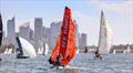 Port Jackson Championships - Red Pumps Red chasing down the harbour