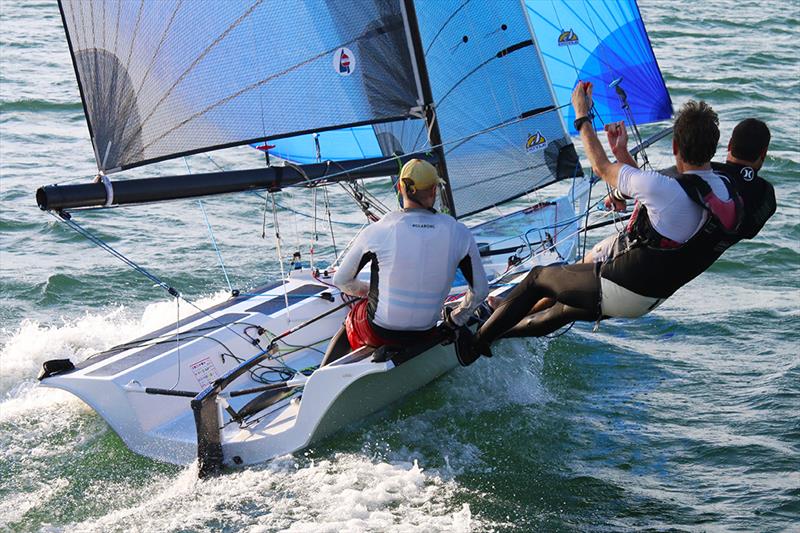 Sailfest Newcastle Regatta - photo © Mark Rothfield