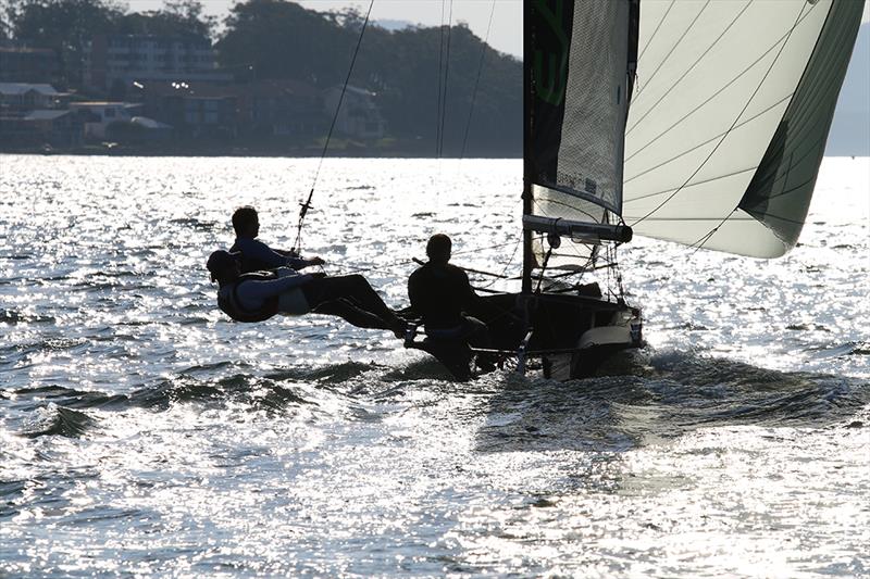 16s in sun - Sailfest Newcastle Regatta - photo © Mark Rothfield